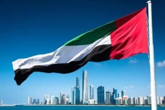 UAE Digital Laws